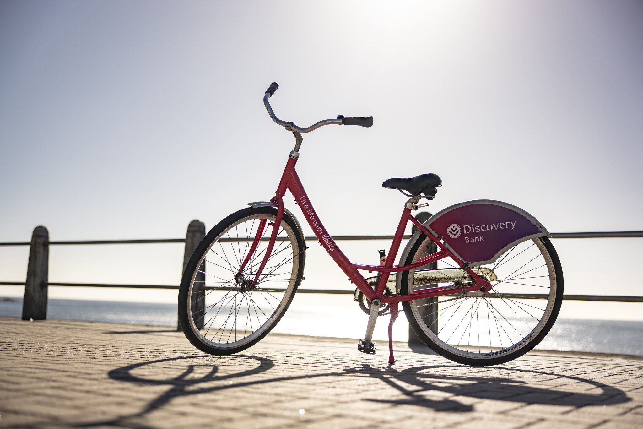 Our Bikes - Up Cycles